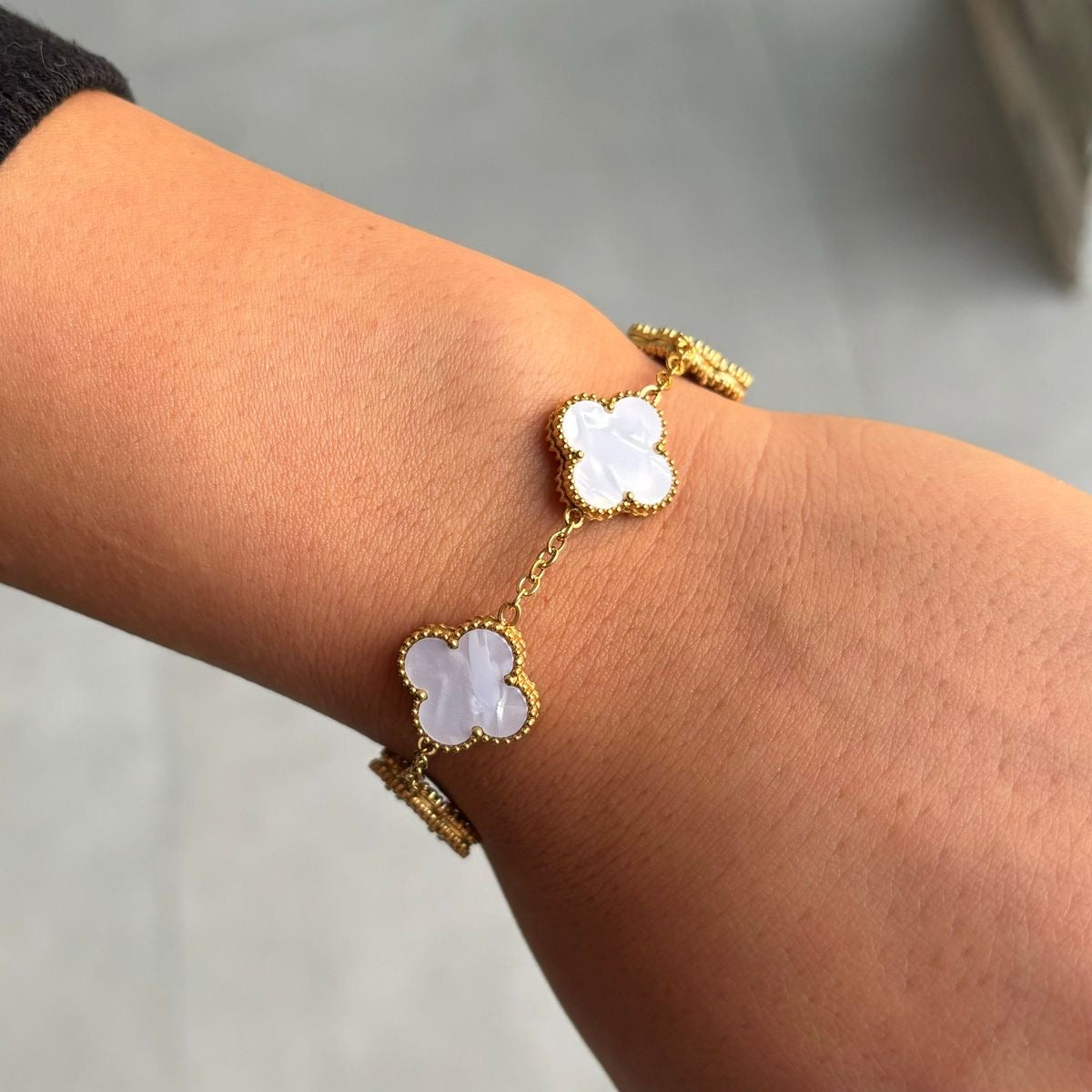 Onsial stainless steel Van Cleef white