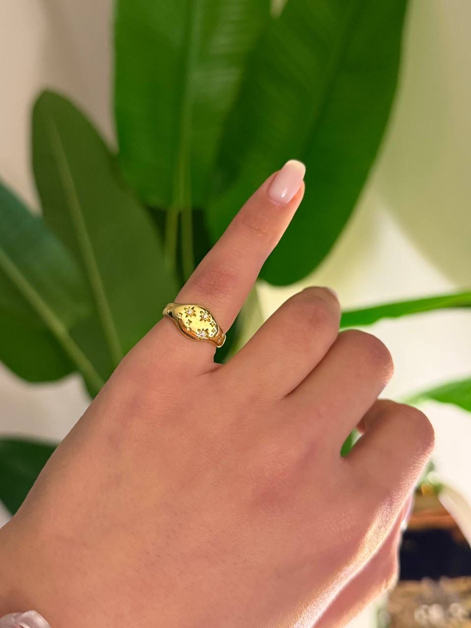 ring model 69